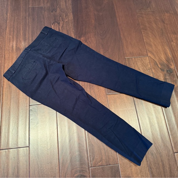 Rails Perci Animal Star Sweater & Banana Republic Sloan Pants - Picture 8 of 10